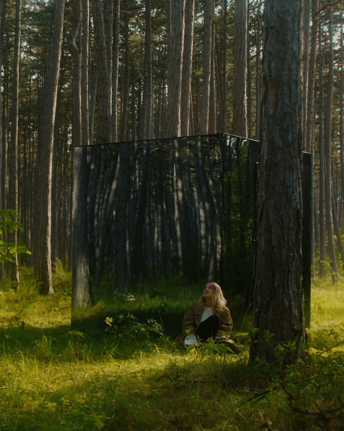 AVEC sitting in front of a mirror cube in a forest