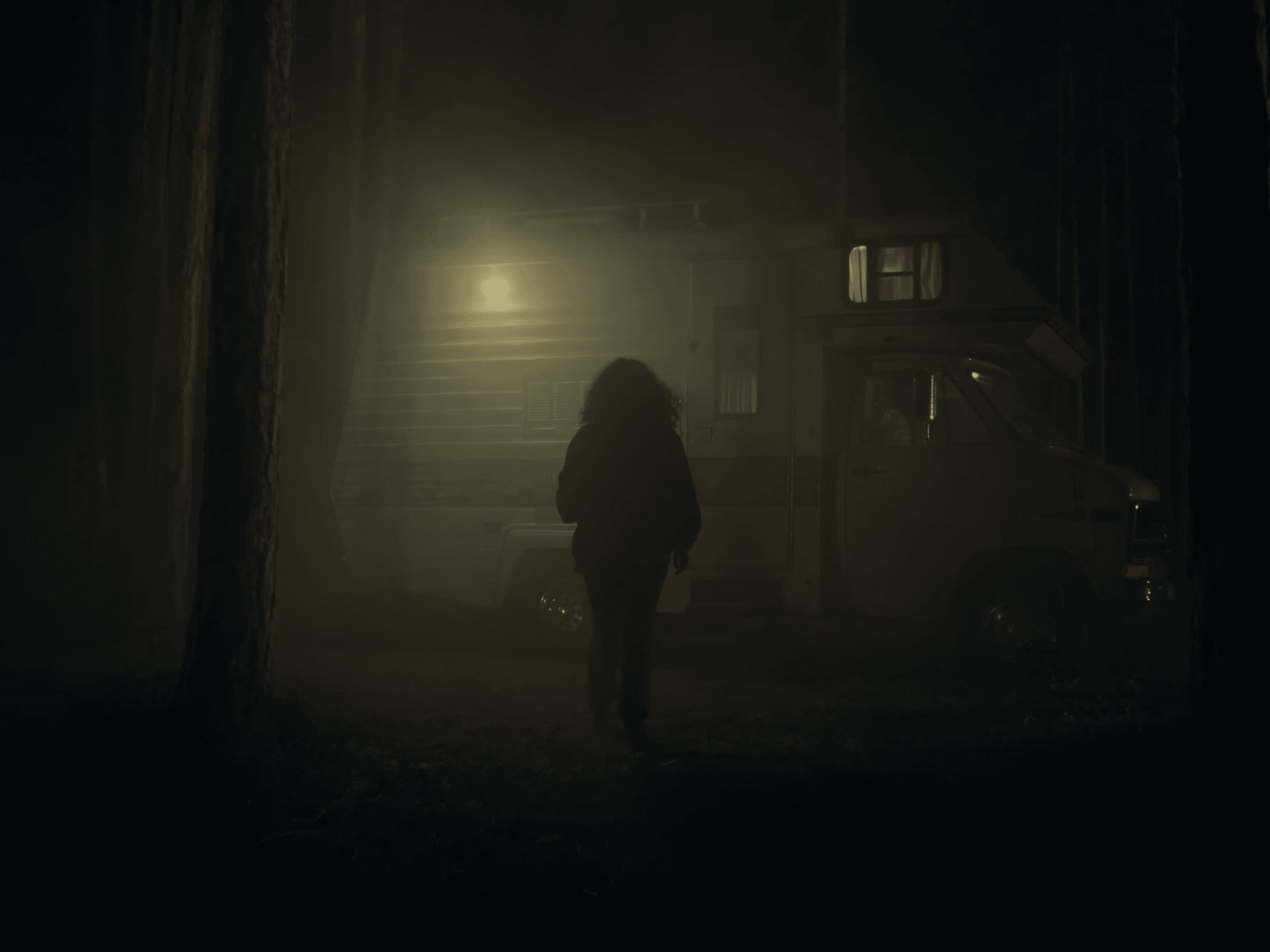Woman standing in front of a camper van in a forest at night